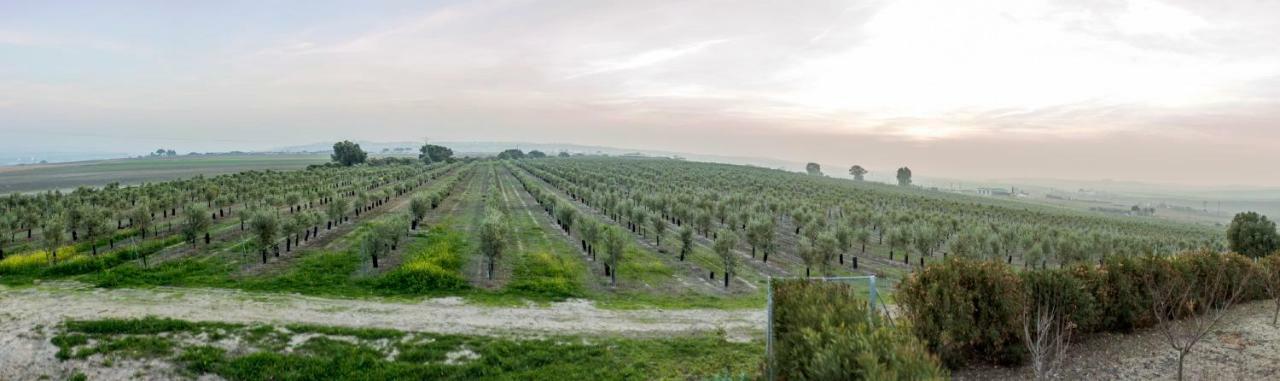 Vivienda Rural Olivar De San Telmo 아르코스델라프론테라 외부 사진