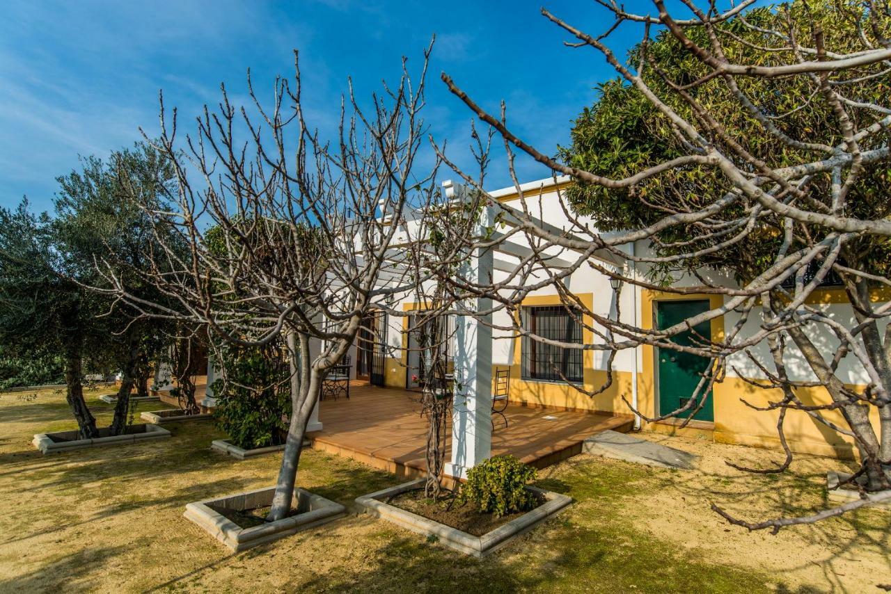 Vivienda Rural Olivar De San Telmo 아르코스델라프론테라 외부 사진