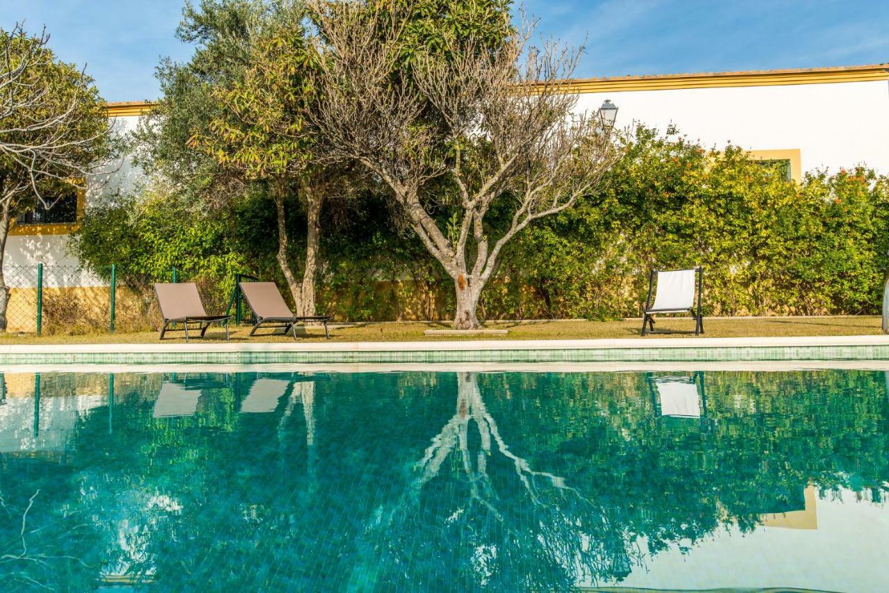 Vivienda Rural Olivar De San Telmo 아르코스델라프론테라 외부 사진