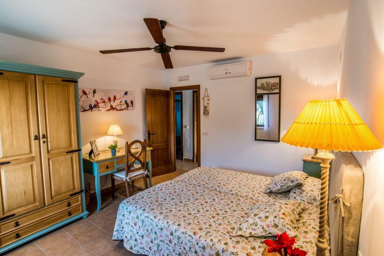 Vivienda Rural Olivar De San Telmo 아르코스델라프론테라 외부 사진