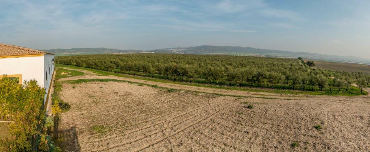 Vivienda Rural Olivar De San Telmo 아르코스델라프론테라 외부 사진