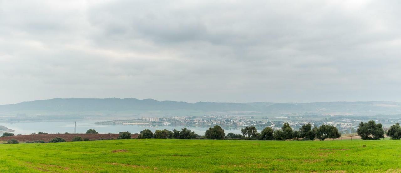 Vivienda Rural Olivar De San Telmo 아르코스델라프론테라 외부 사진