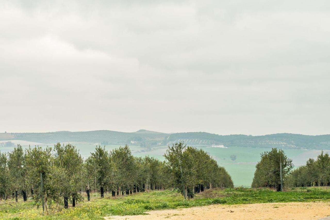 Vivienda Rural Olivar De San Telmo 아르코스델라프론테라 외부 사진