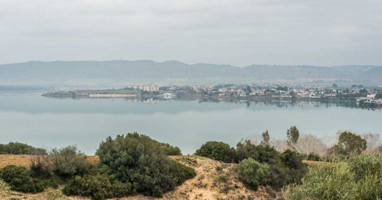 Vivienda Rural Olivar De San Telmo 아르코스델라프론테라 외부 사진