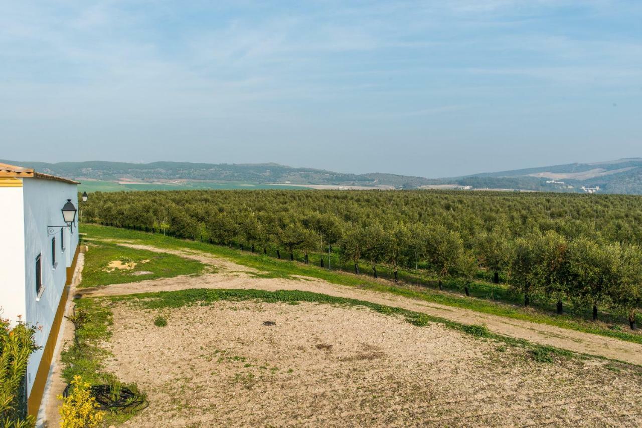 Vivienda Rural Olivar De San Telmo 아르코스델라프론테라 외부 사진