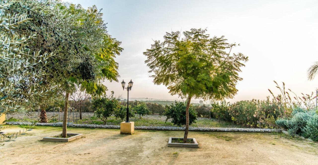 Vivienda Rural Olivar De San Telmo 아르코스델라프론테라 외부 사진